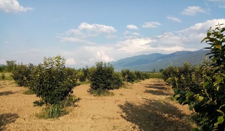 IMG-04af0647cc249e00a7e1c42de6ded0f4-V